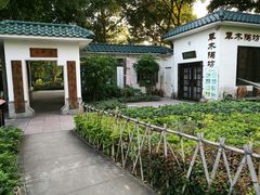 -晓港公园