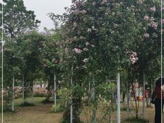 -尚贤河湿地