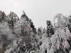 -龙苍沟森林公园