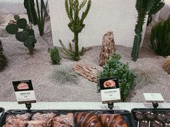 -OUR Bakery(SKP-S店)