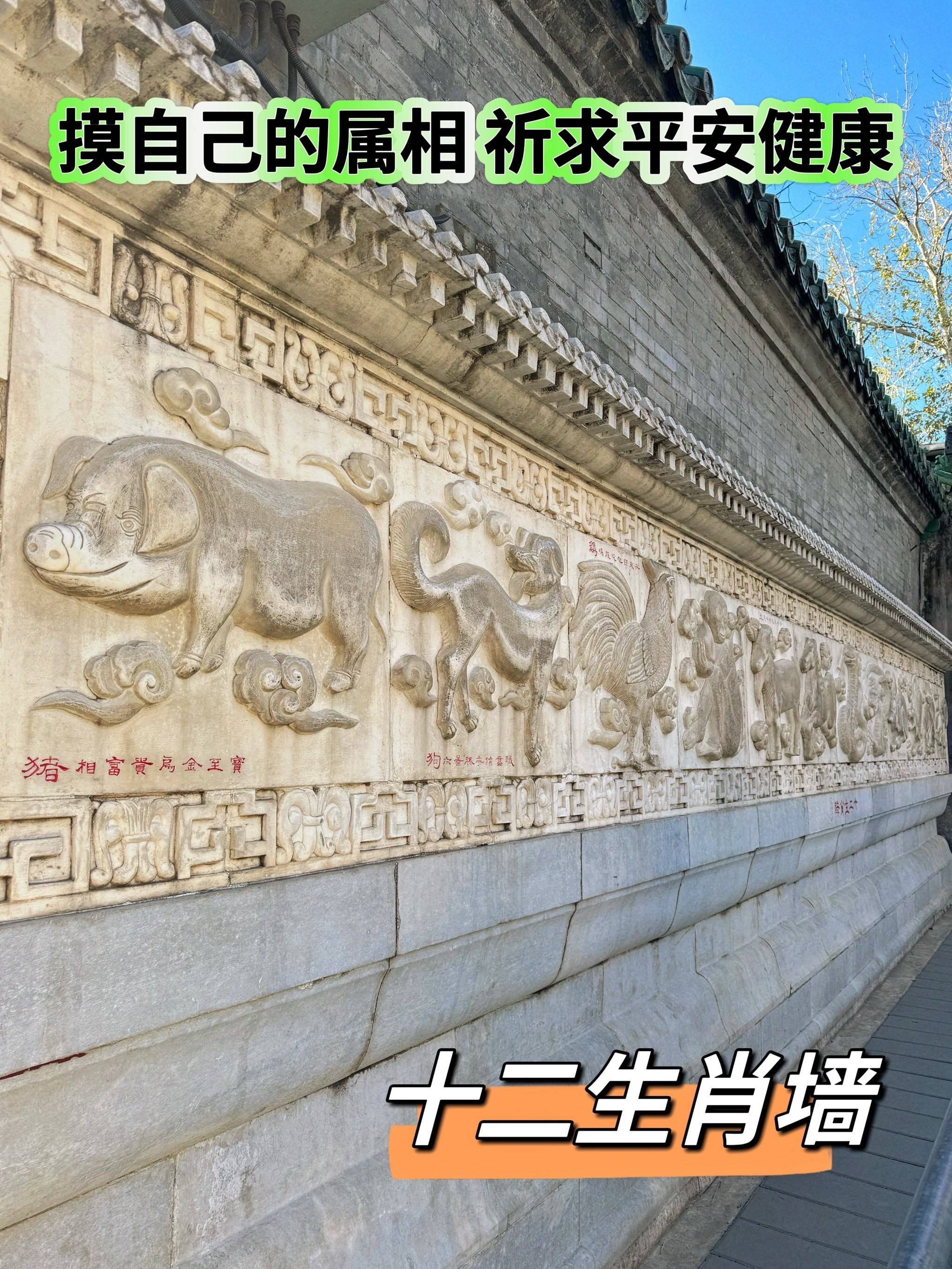 https://qcloud.dpfile.com/pc/WJL3d7j6ojJo3qmQ0YABkHEnFcF4JY-7dsFJlYAoHblaVHivjFcrHDYy3CYg93P-Y0q73sB2DyQcgmKUxZFQtw.jpg