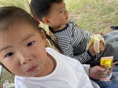 -艾溪湖湿地公园