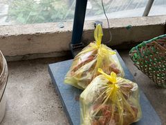 -马陆小张葡萄园农家乐