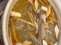 -土连锅·现熬养生汤锅(梁家巷店)
