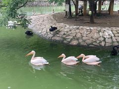 -黔灵山公园