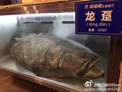 -御唐府海珊瑚主题餐厅