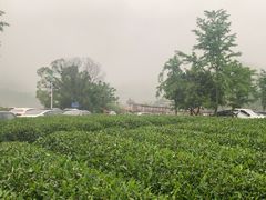 -听风阁农家私房菜茶楼(龙坞店)