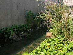 -中国湿地博物馆