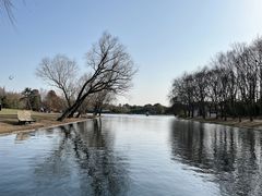 -上海共青森林公园