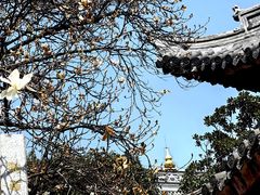 -龙华寺
