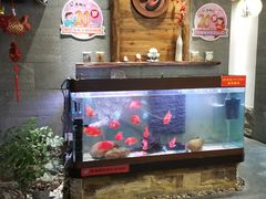 -天狗山料理(省体店)