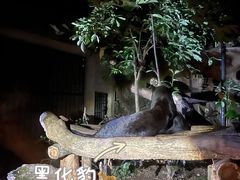 -杭州动物园