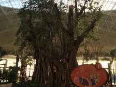 wen qu an-渔岛海洋度假区