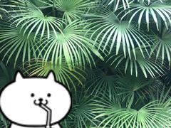 -深圳东部华侨城茵特拉根酒店
