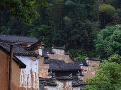 -杨家堂村