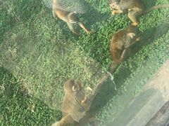 -石家庄市动物园