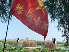 -洪湖生态旅游区