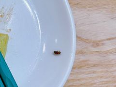 -陈家生煎(金融街万达店)