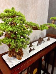 -敖东酵素·离子暖房