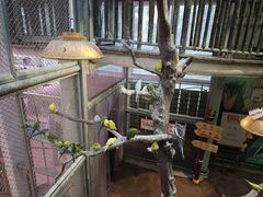 -正佳雨林生态植物园