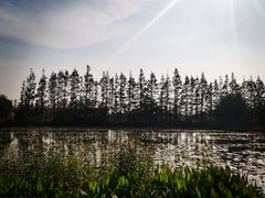 -上海长兴岛郊野公园