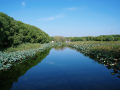 -同里国家湿地公园
