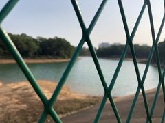 -聚龙山公园