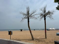 -金梦海湾浴场
