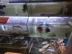 水产区-林记海鲜排档·十年海鲜地标