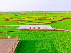 游乐设施-红海滩国家风景廊道