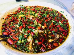 -新概念来凤鱼(璧山店)