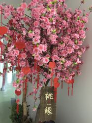 -依萱绮医疗美容