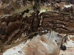 -八喜冰淇淋蛋糕(双井店)