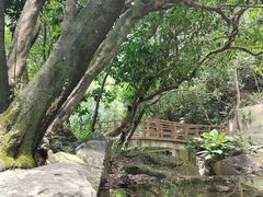 -梧桐山风景名胜区