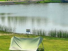 -春花秋色城市公园