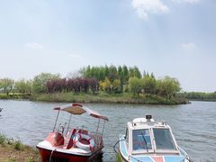 -杭州湾海上花田景区