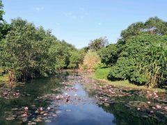 -白沙门生态公园