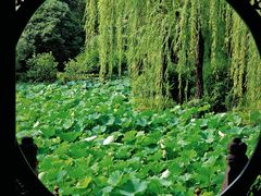 -老桂湖公园-杨升庵博物馆