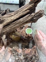 -酷嗒动物文化乐园(cutezoo西溪乐天城店)