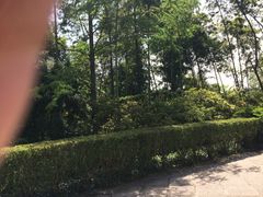 -井冈山革命烈士陵园