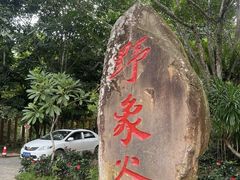 -野象谷景区