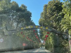 -常州淹城野生动物世界