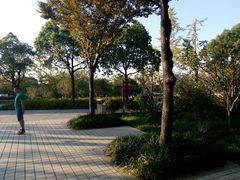 -新江湾城公园
