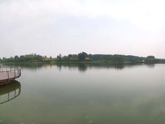 -东郊湿地公园