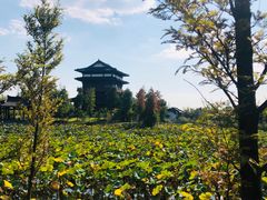 -董永七仙女文化园
