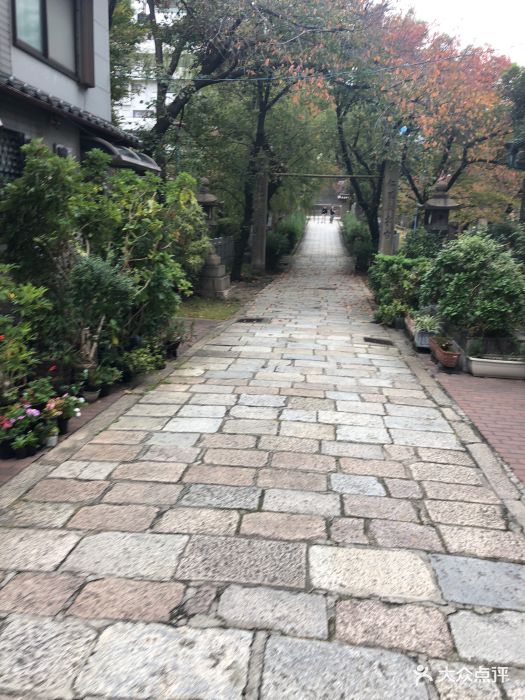 高津神社图片