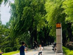 -长春市南湖公园