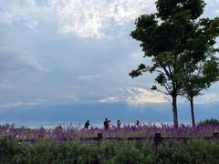 -大理洱海