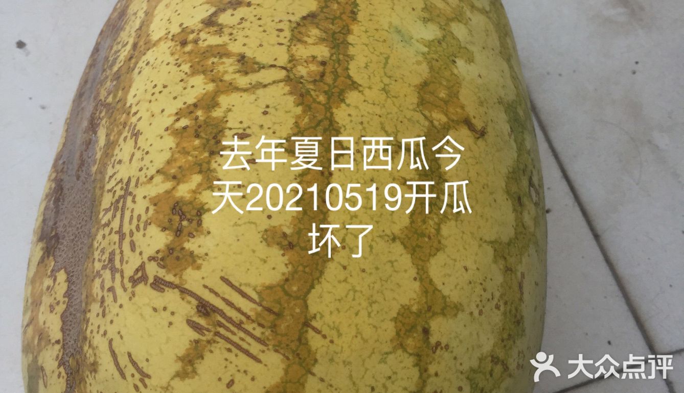 去年2020年夏日买的西瓜今天20210519开瓜坏了