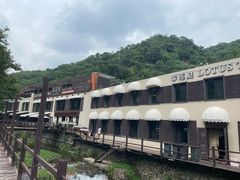 -Local泰莲庭(虹鳟鱼店)